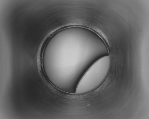 X0000102871072200808181041