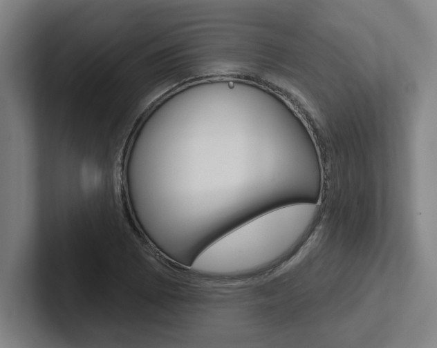X0000102871073200808181041