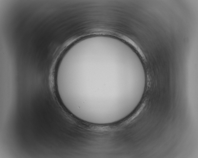 X0000102871074200808181041