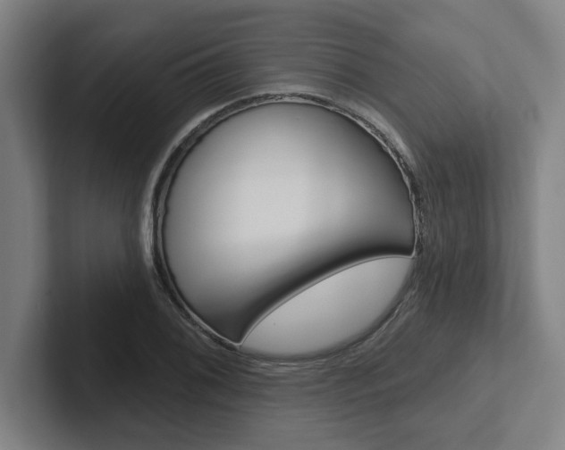 X0000102871076200808181041