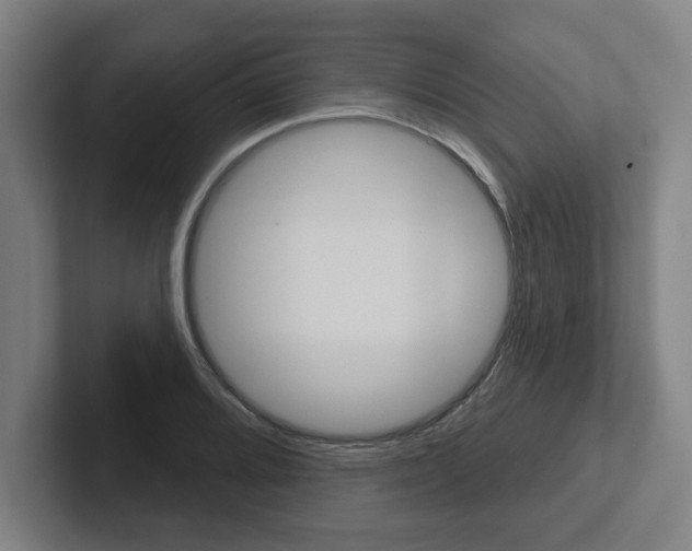 X0000102871080200808181041