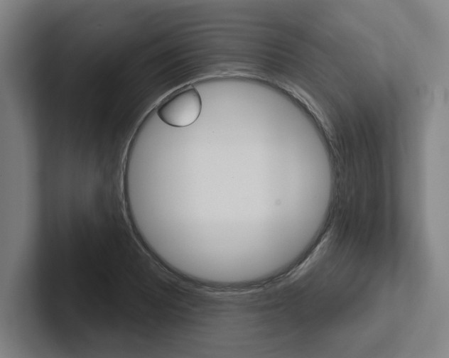 X0000102871081200808181041