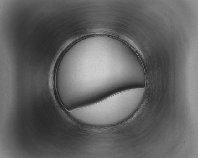 X0000102871082200808181041