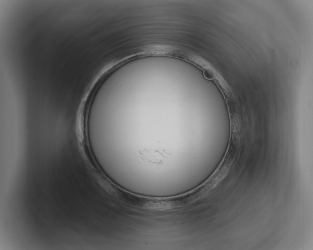 X0000102871083200808181041