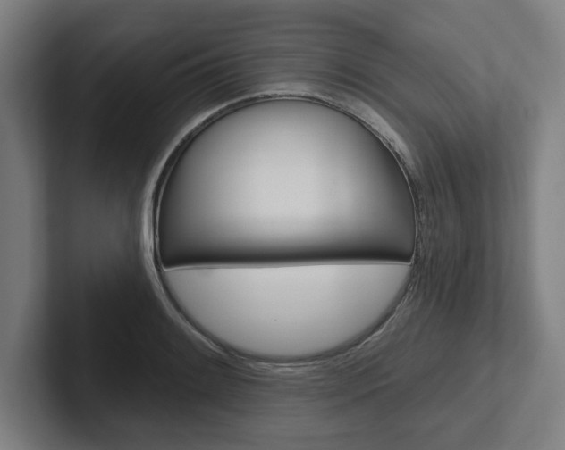 X0000102871084200808181041