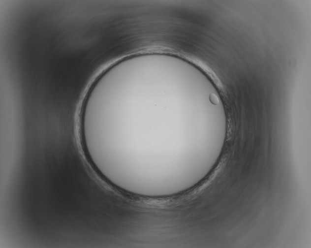 X0000102871086200808181041