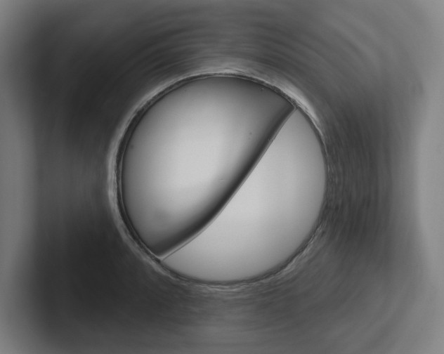 X0000102871088200808181041