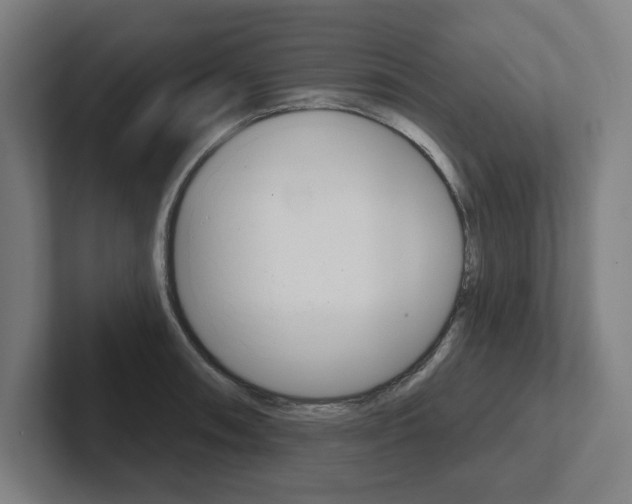 X0000102871090200808181041