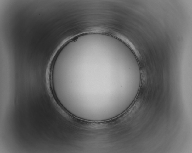 X0000102871091200808181041