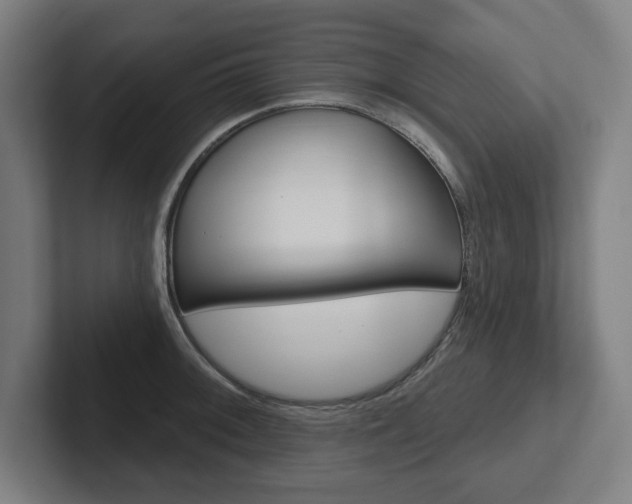 X0000102871092200808181041