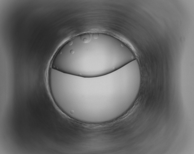 X0000102871095200808181041