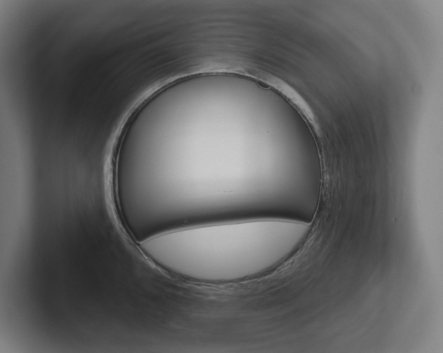 X0000102871096200808181040