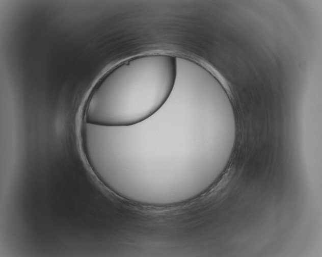 X0000102871099200808181040