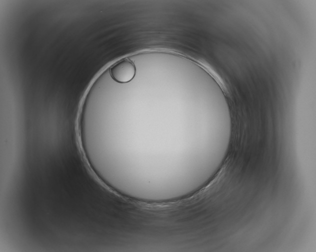 X0000102871100200808181040