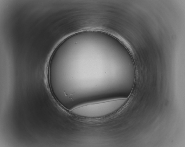X0000102871102200808181040