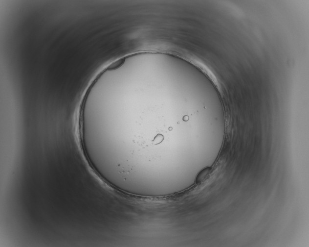 X0000102871103200808181040