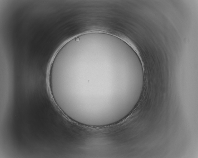 X0000102871104200808181040