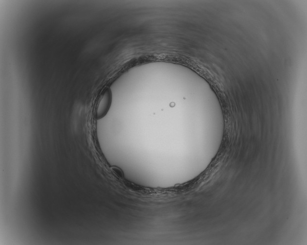 X0000102871105200808181040
