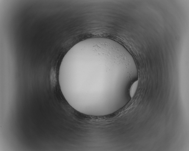 X0000102871106200808181040