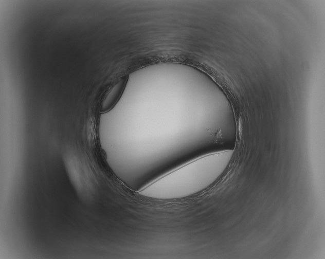 X0000102871107200808181040