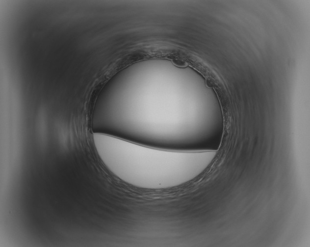 X0000102871108200808181040