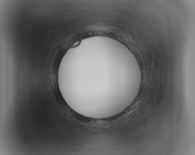 X0000102871109200808181040