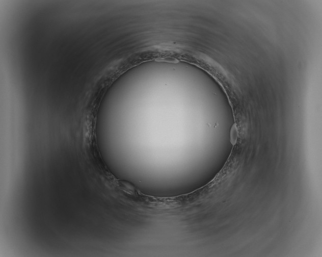 X0000102871110200808181040