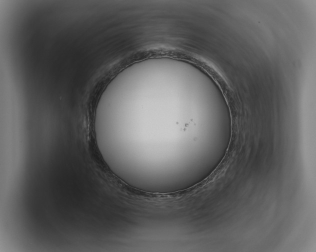 X0000102871111200808181040