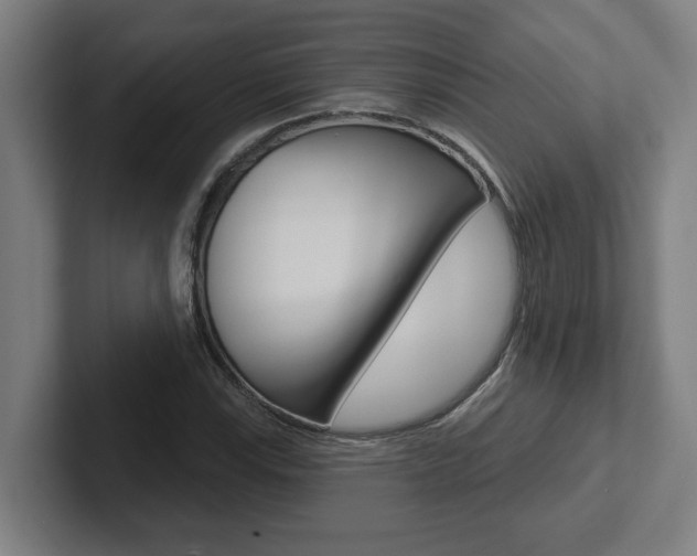 X0000102871115200808181040