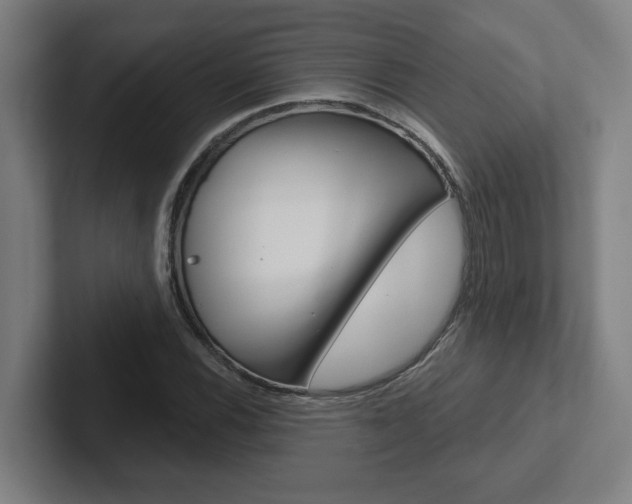 X0000102871116200808181040