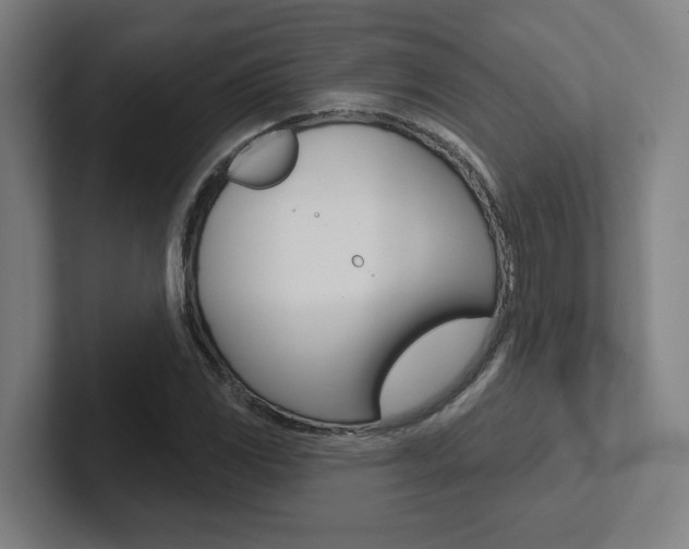 X0000102871117200808181040