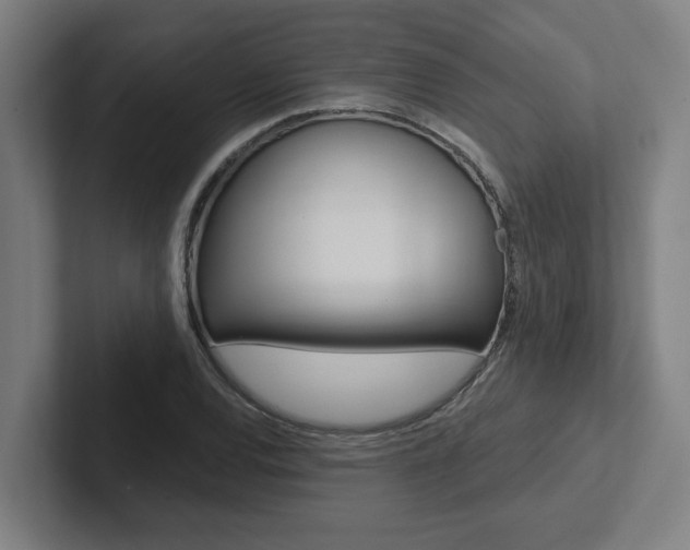 X0000102871120200808181040