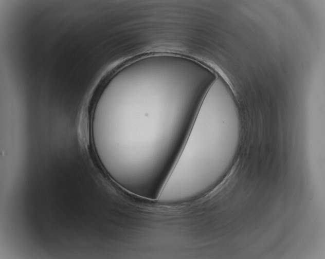 X0000102871123200808181040