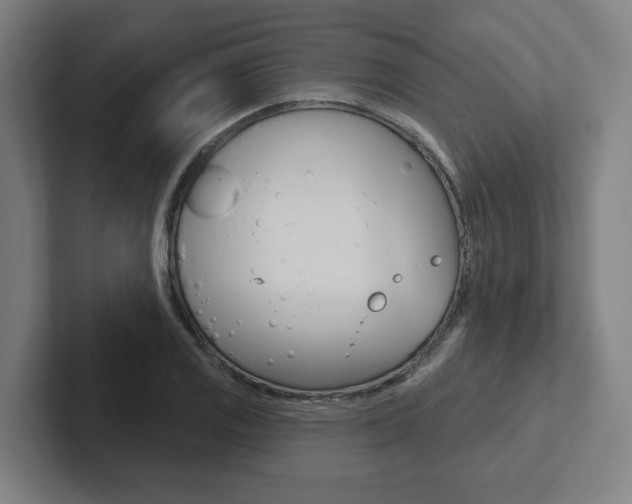 X0000102871125200808181040