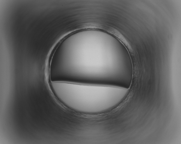 X0000102871132200808181040