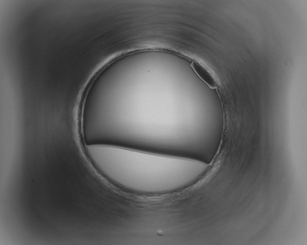 X0000102871134200808181040