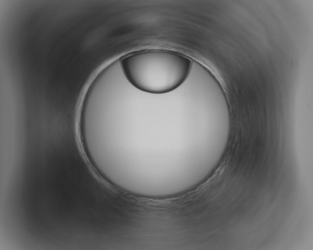 X0000102871136200808181040