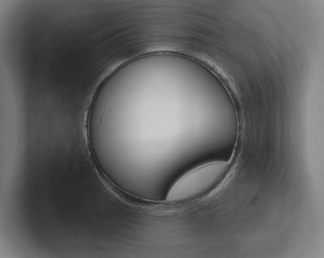 X0000102871137200808181040