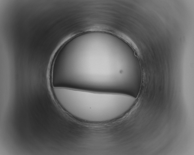 X0000102871138200808181040