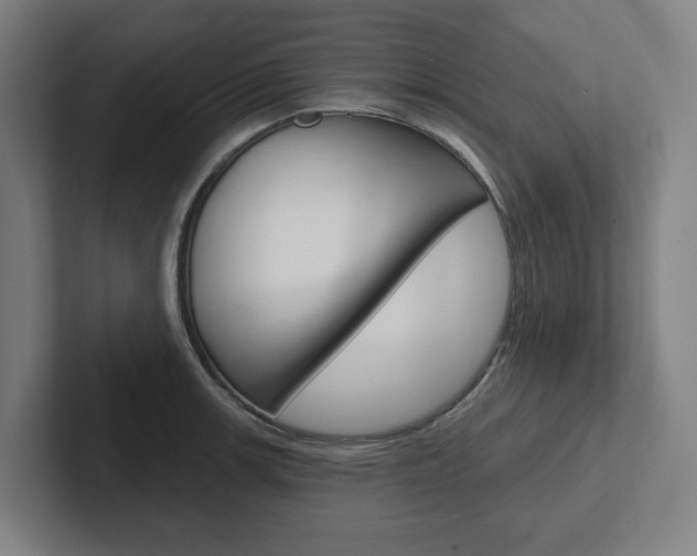 X0000102871139200808181040