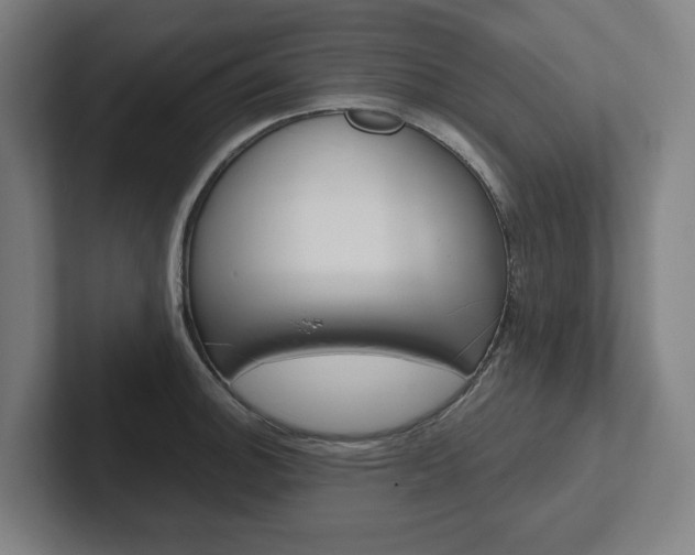 X0000102871140200808181040