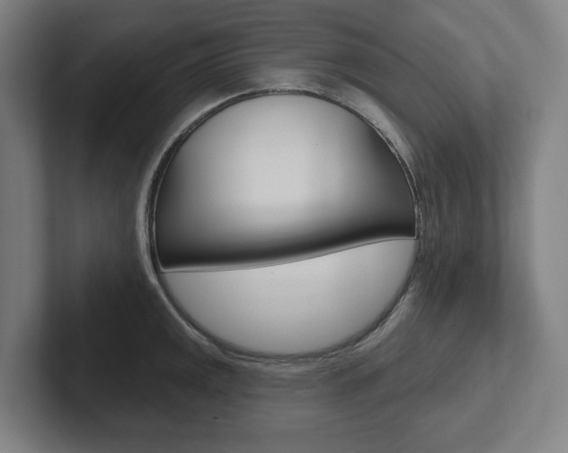 X0000102871141200808181040