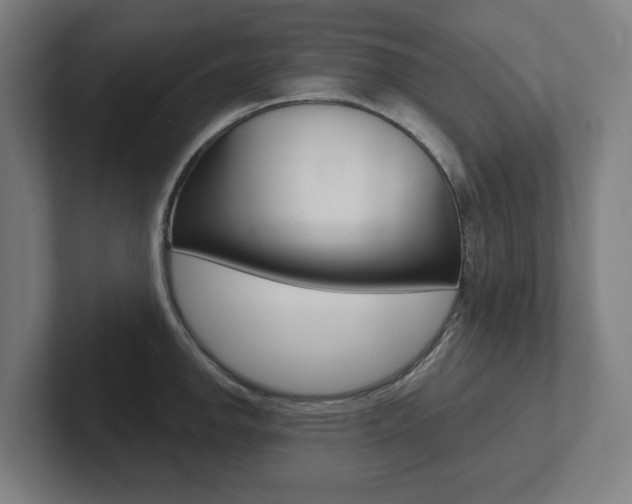 X0000102871142200808181040