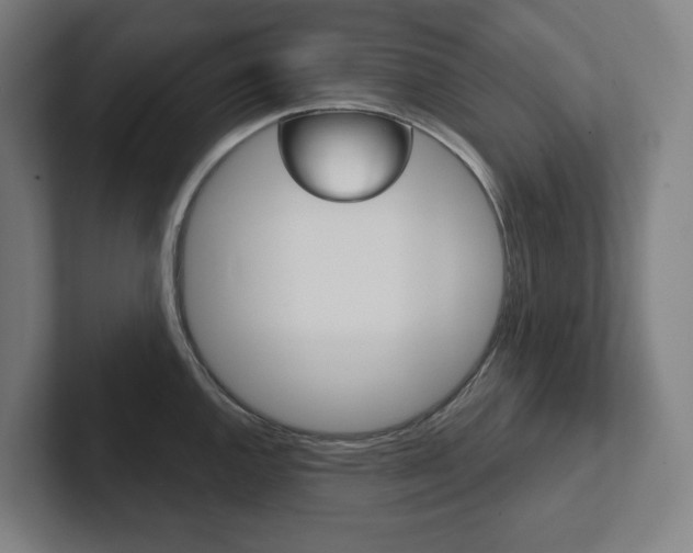 X0000102871144200808181040