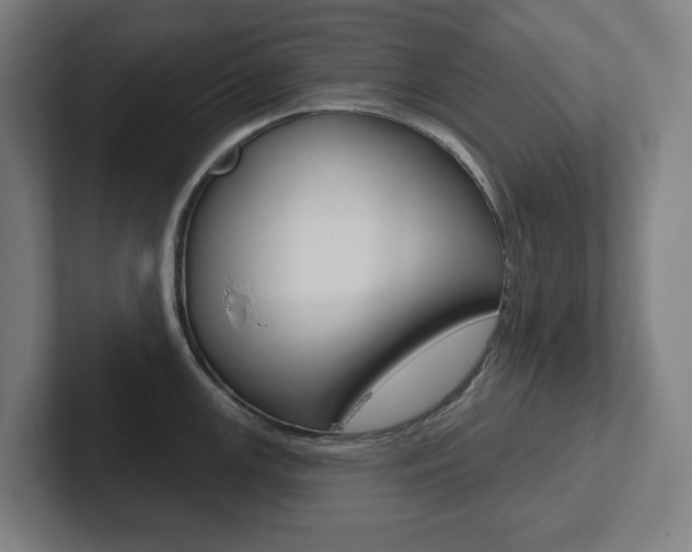 X0000102871147200808181040