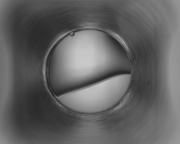 X0000102871149200808181040