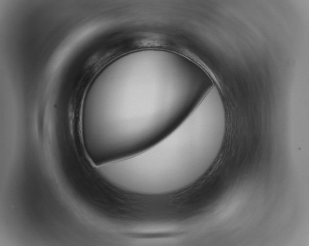 X0000102871151200808181040