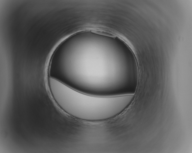 X0000102871152200808181040