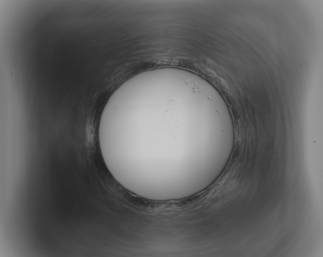 X0000102871154200808181040