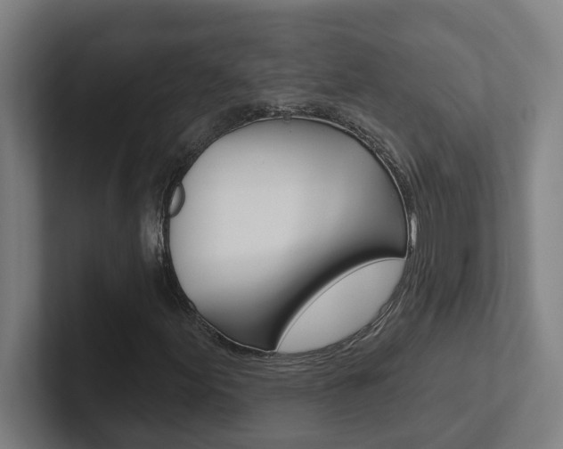 X0000102871155200808181040